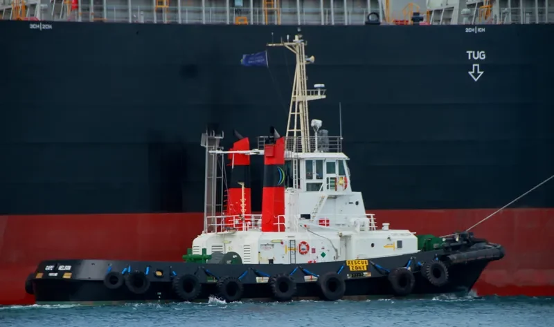 CAPE NELSON General Cargo IMO 9019432 photo 7