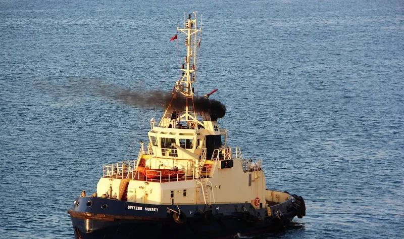 SVITZER SURREY General Cargo IMO 9019468 photo 5