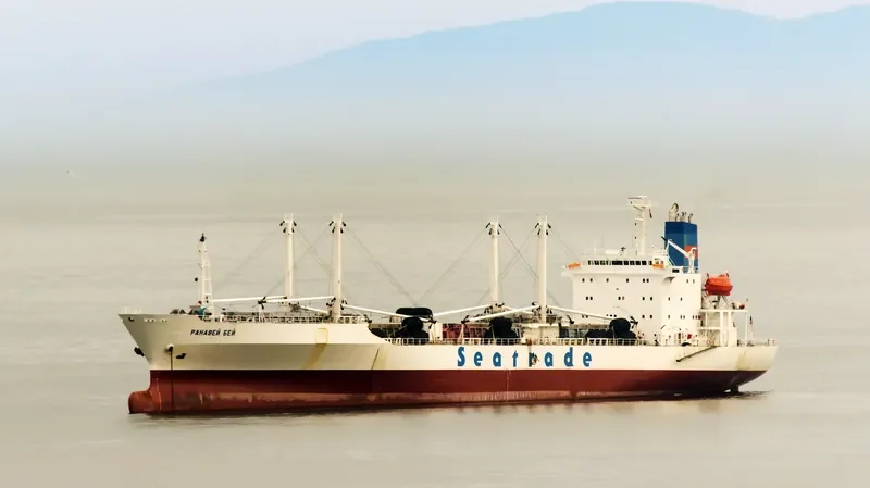 RUNAWAY BAY General Cargo IMO 9019640 photo 6
