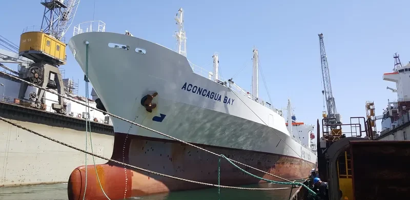 ACONCAGUA BAY General Cargo IMO 9019652 photo 8