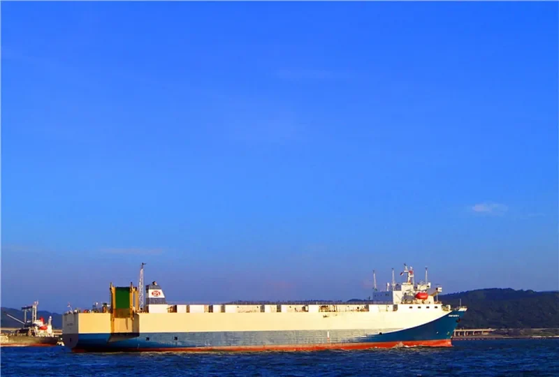 TRANS PACIFIC 5 General Cargo IMO 9019664 photo 4
