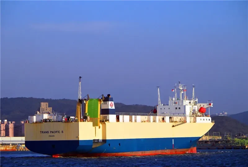 TRANS PACIFIC 5 General Cargo IMO 9019664 photo 6