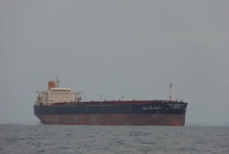 HL PORT KEMBLA Bulk Carrier IMO 9019729 photo 2