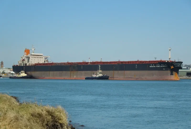 HL PORT KEMBLA Bulk Carrier IMO 9019729 photo 3