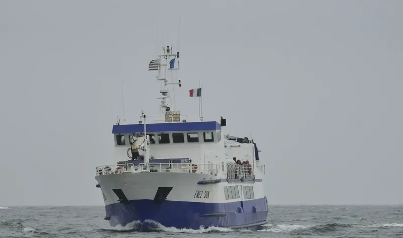 ENEZ SUN III Passenger Ship IMO 9019884 photo 3