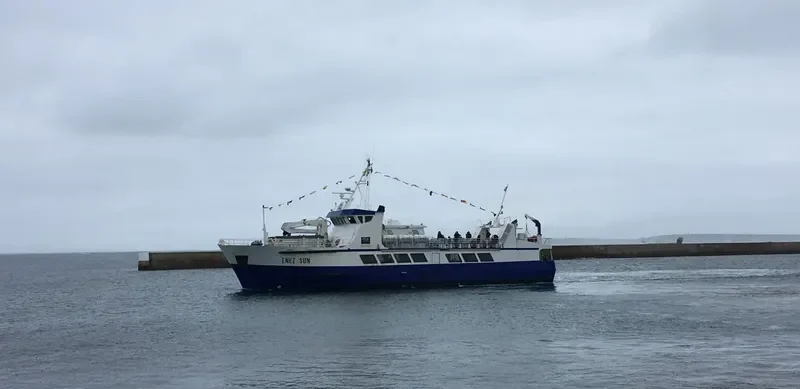 ENEZ SUN III Passenger Ship IMO 9019884 photo 5