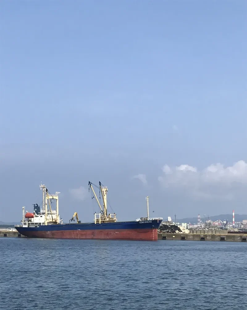 TENG SHENG General Cargo IMO 9019999