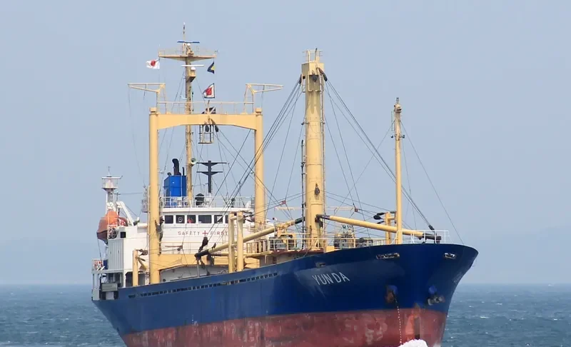 TENG SHENG General Cargo IMO 9019999 photo 9