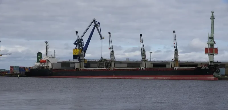 SARANYA NAREE Bulk Carrier IMO 9020065