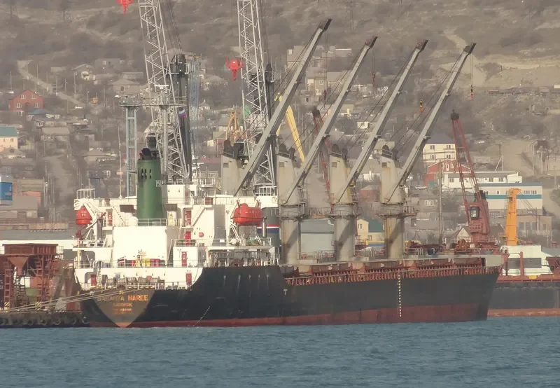 SARANYA NAREE Bulk Carrier IMO 9020065 photo 3