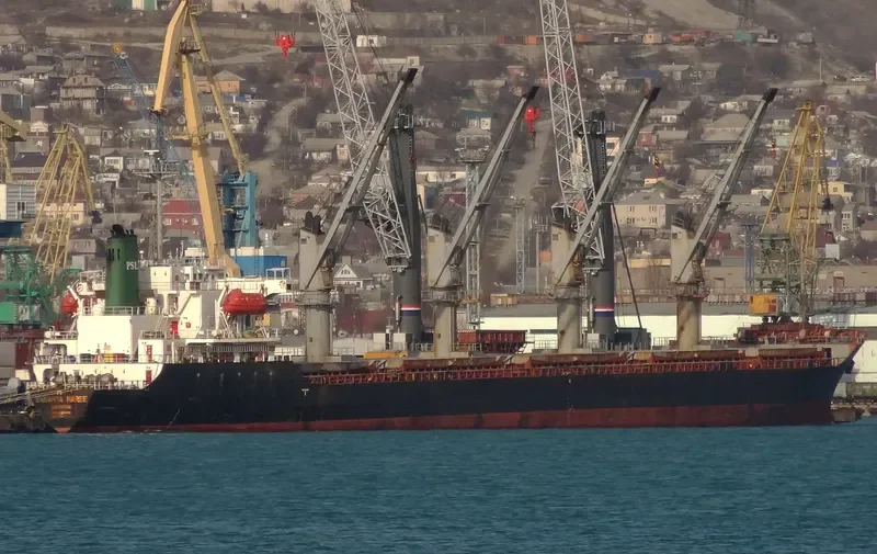 SARANYA NAREE Bulk Carrier IMO 9020065 photo 4