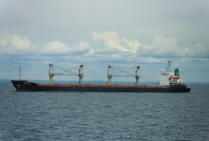 SARANYA NAREE Bulk Carrier IMO 9020065 photo 5