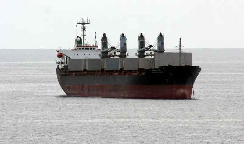 SARANYA NAREE Bulk Carrier IMO 9020065 photo 8
