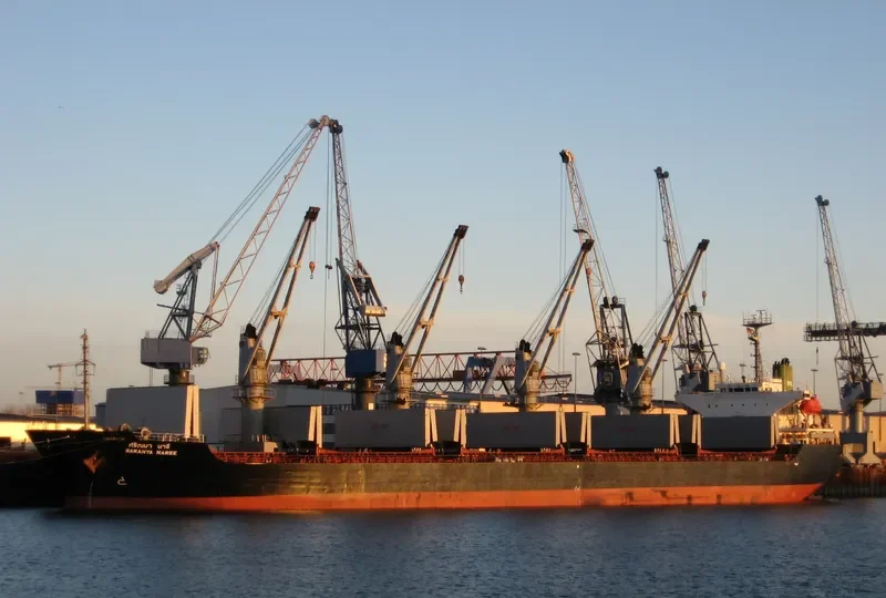 SARANYA NAREE Bulk Carrier IMO 9020065 photo 9
