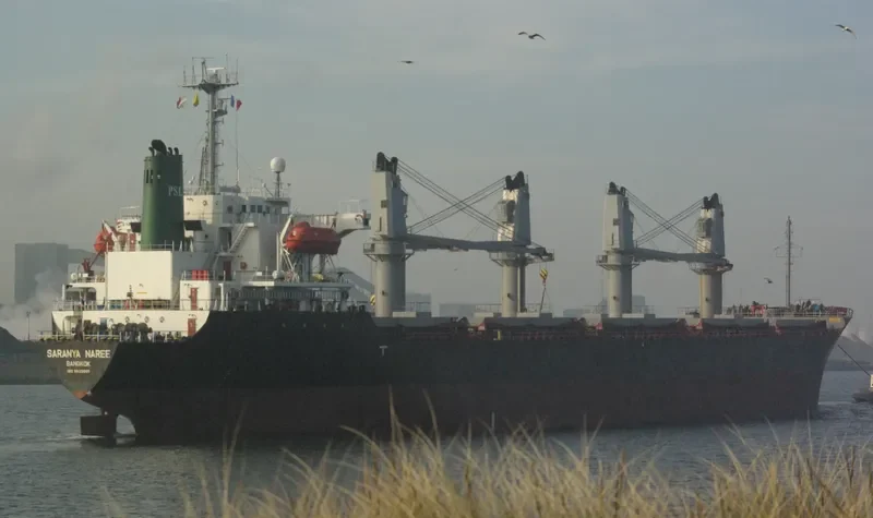 SARANYA NAREE Bulk Carrier IMO 9020065 photo 10