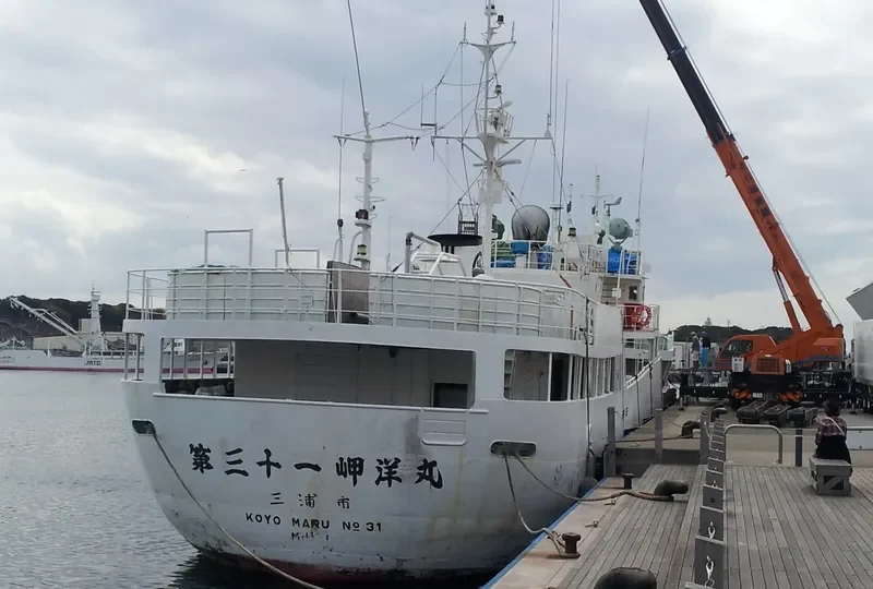 KOYO MARU NO.31 General Cargo IMO 9020120