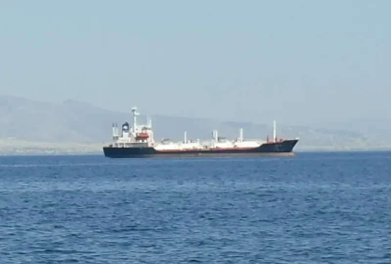 VENUS 08 General Cargo IMO 9020132 photo 5
