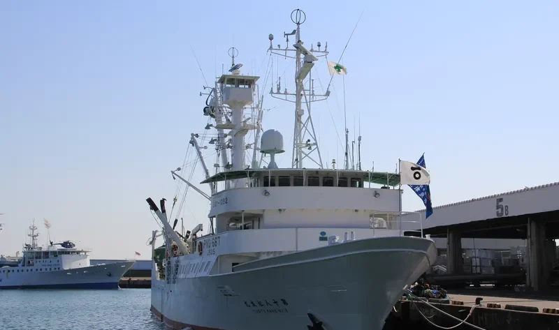 MIRANDA General Cargo IMO 9020182 photo 2