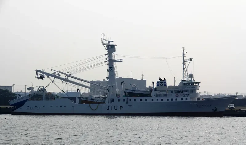 MIRANDA General Cargo IMO 9020182 photo 3