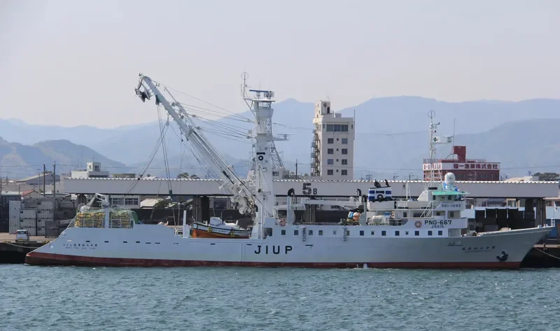 MIRANDA General Cargo IMO 9020182 photo 4