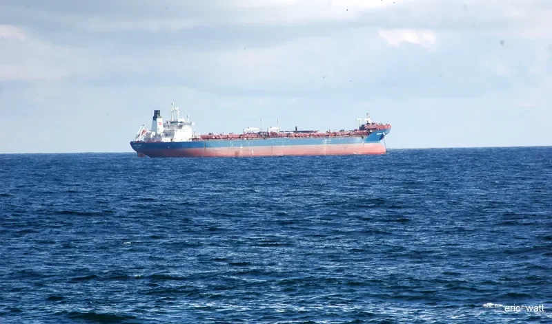 AVION Tanker IMO 9020687