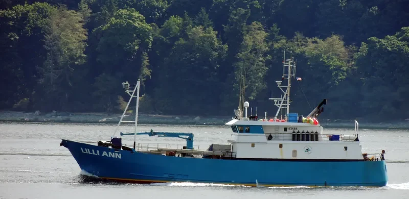 LILLI ANN General Cargo IMO 9020924 photo 3