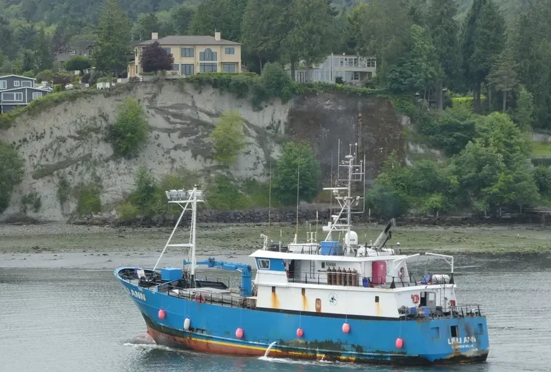 LILLI ANN General Cargo IMO 9020924 photo 9