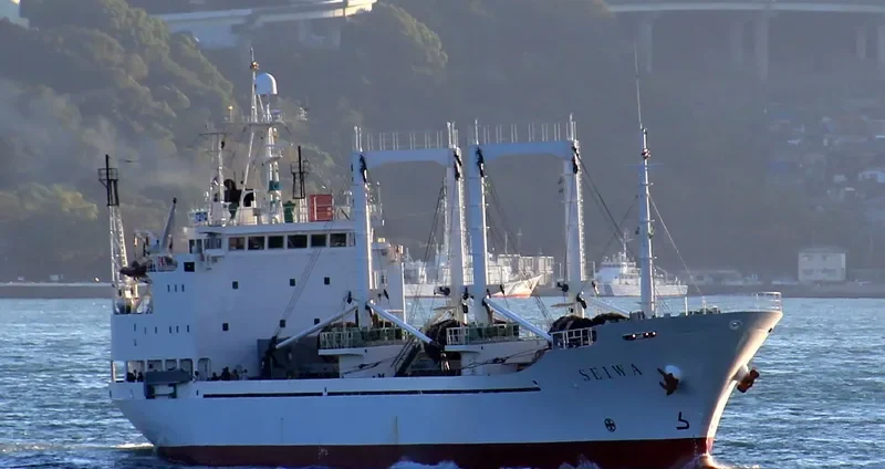 AFRODITA General Cargo IMO 9021277 photo 5