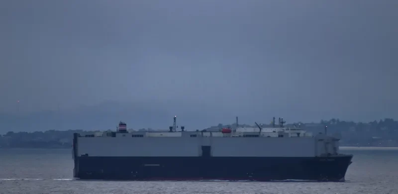 YOUNG SHIN General Cargo IMO 9021332