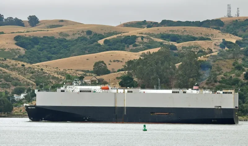 YOUNG SHIN General Cargo IMO 9021332 photo 10