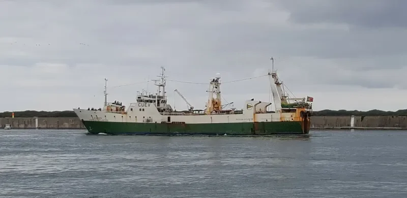 PASCOAL ATLANTICO General Cargo IMO 9021590