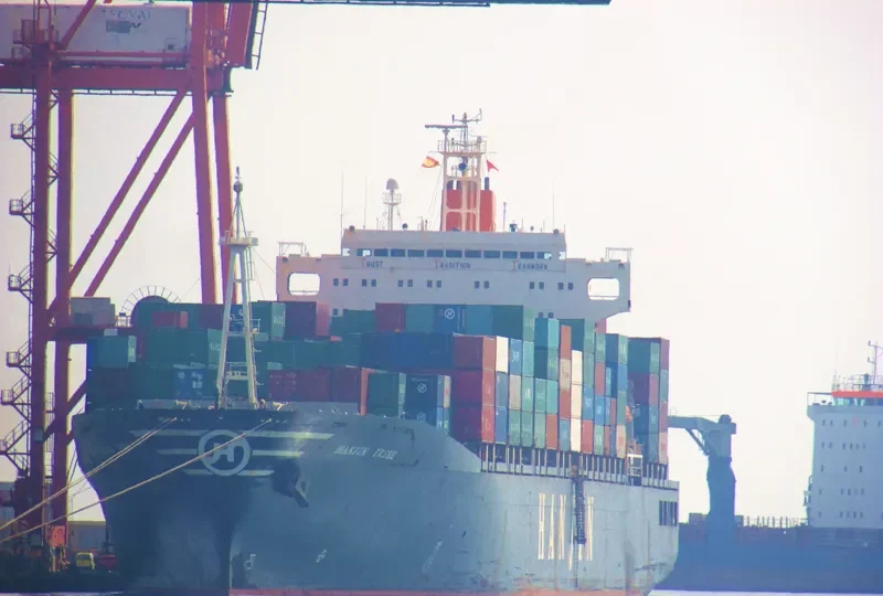 HANJIN IRENE Container Ship IMO 9021693 photo 2