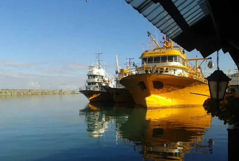 ZAMAN AVCI 2 General Cargo IMO 9023172 photo 2