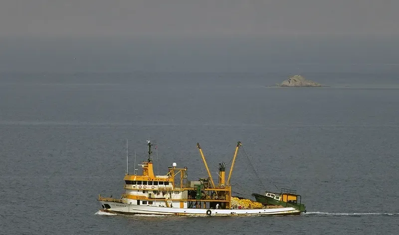 KUL BALIKCILIK 1 General Cargo IMO 9023483 photo 5