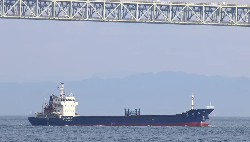 YOU SHUN 9 General Cargo IMO 9023598 photo 8