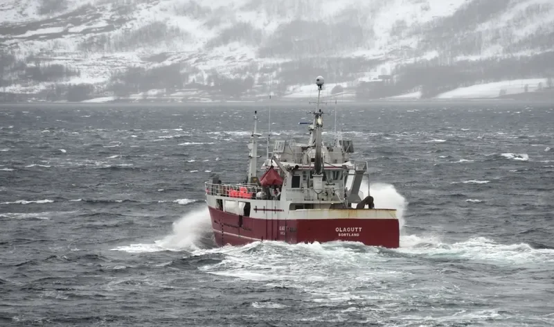 OLAGUTT General Cargo IMO 9025883 photo 9