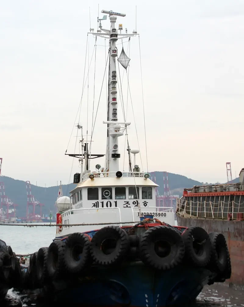 NO.101 CHO YANG General Cargo IMO 9025900