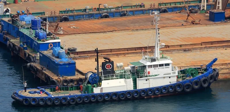 NO.101 CHO YANG General Cargo IMO 9025900 photo 2