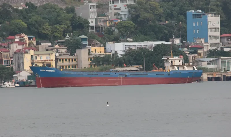 HOANG PHUONG 135 General Cargo IMO 9026928