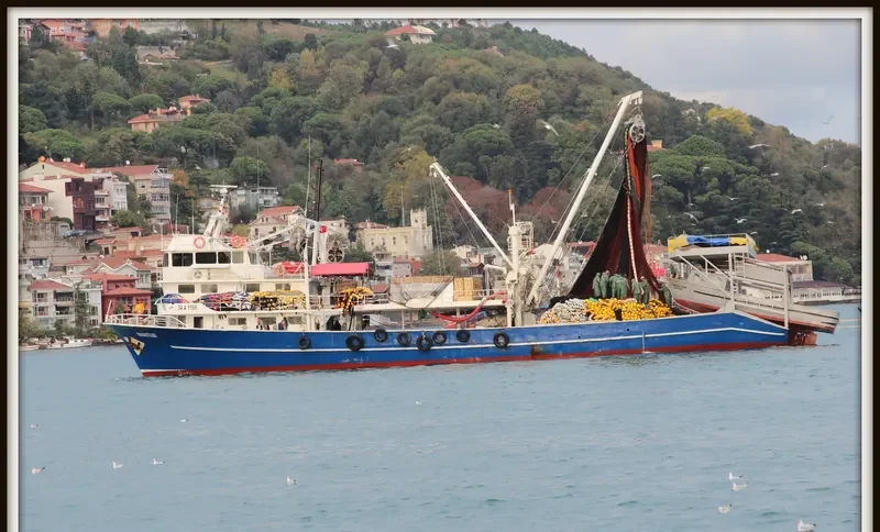 MAMATILER General Cargo IMO 9027374 photo 3