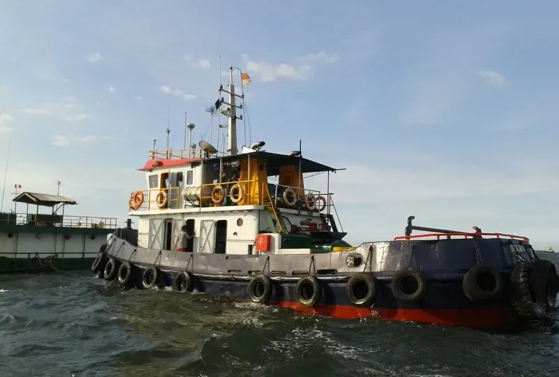USDA JAYA General Cargo IMO 9027752