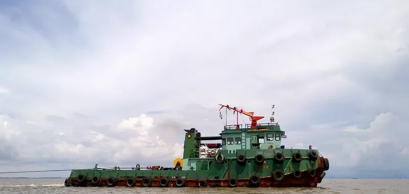WAYABULA INDAH II General Cargo IMO 9027831 photo 3
