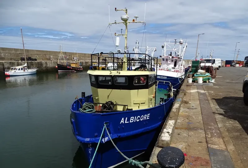 ALBICORE General Cargo IMO 9027960 photo 4