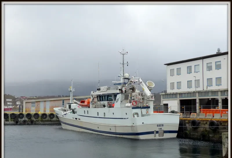 BLUEFIN General Cargo IMO 9028603 photo 3
