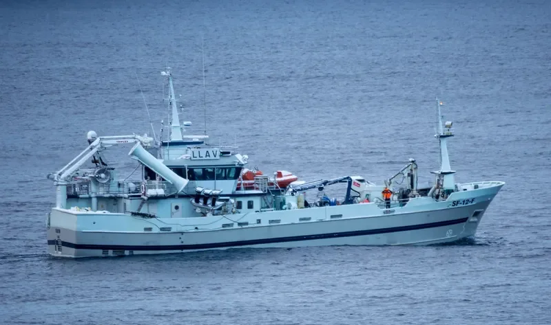 BLUEFIN General Cargo IMO 9028603 photo 4