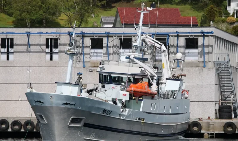 BLUEFIN General Cargo IMO 9028603 photo 7