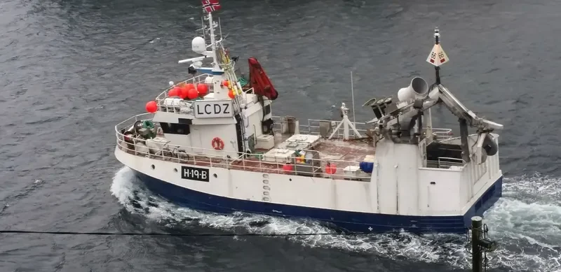 VIKAFJORD General Cargo IMO 9028641
