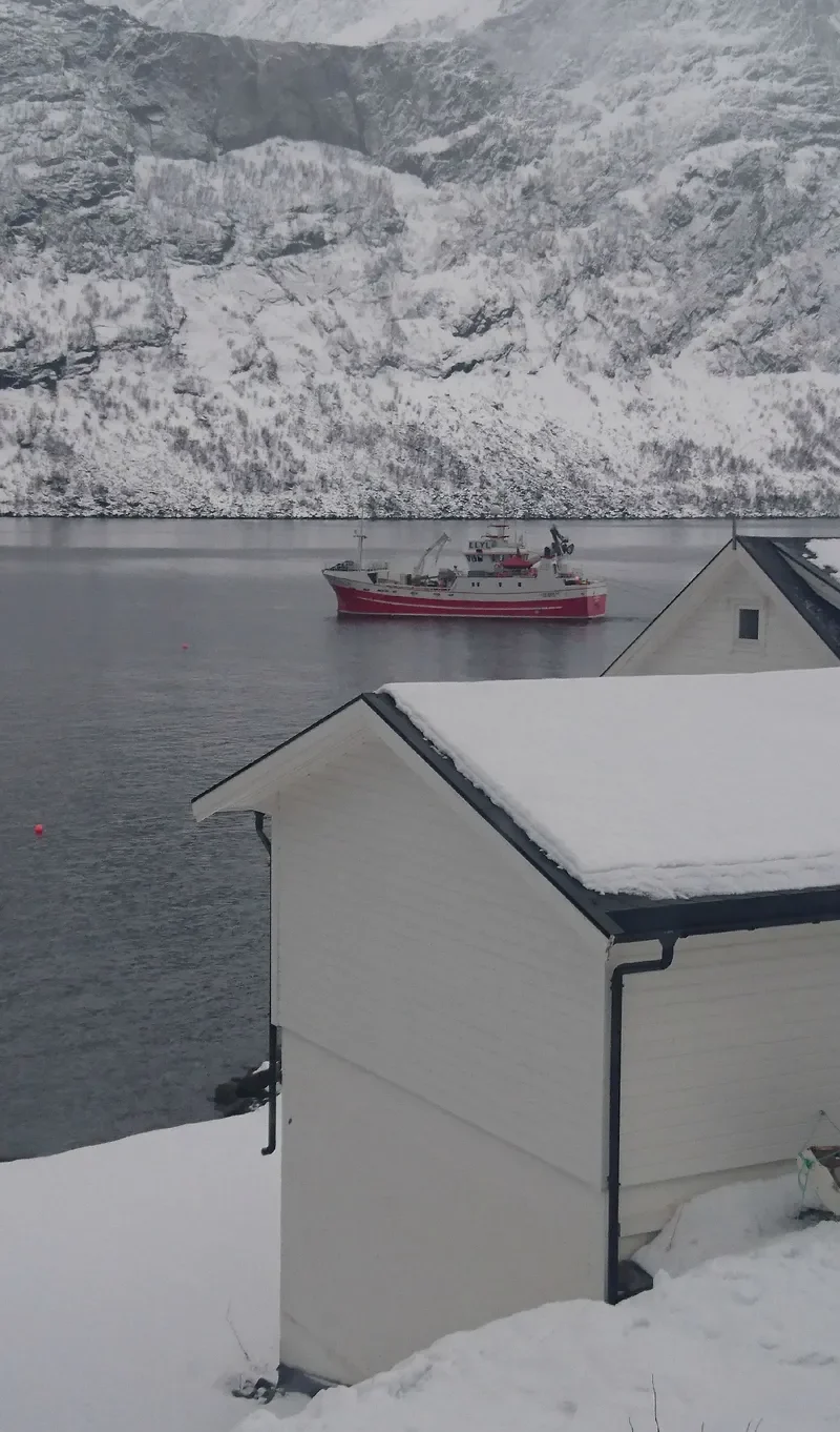 LISE BEATE General Cargo IMO 9029047 photo 5