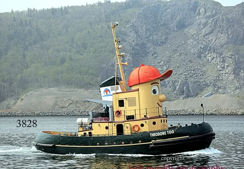 THEODORE II General Cargo IMO 9029774 photo 3