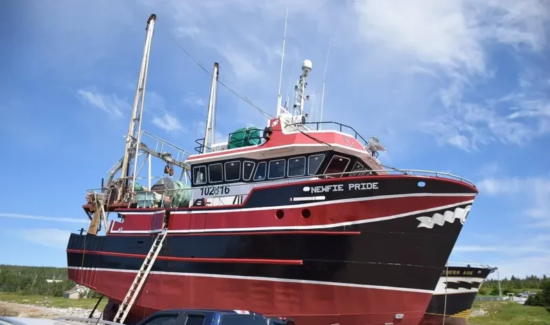 NEWFIE PRIDE General Cargo IMO 9030008